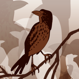 Q and A with Daniel Hudon